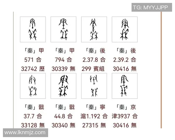 安姓足球明星的传奇故事与辉煌成就探秘